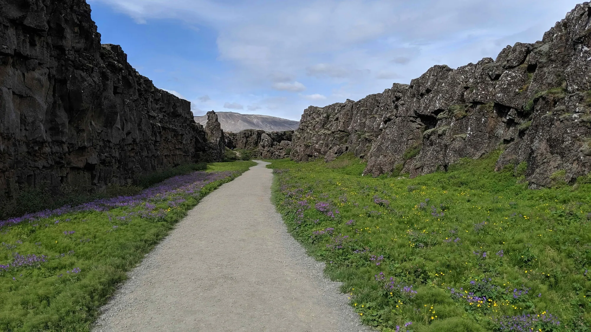 Sentier de marche dans le parc national de Þingvellir