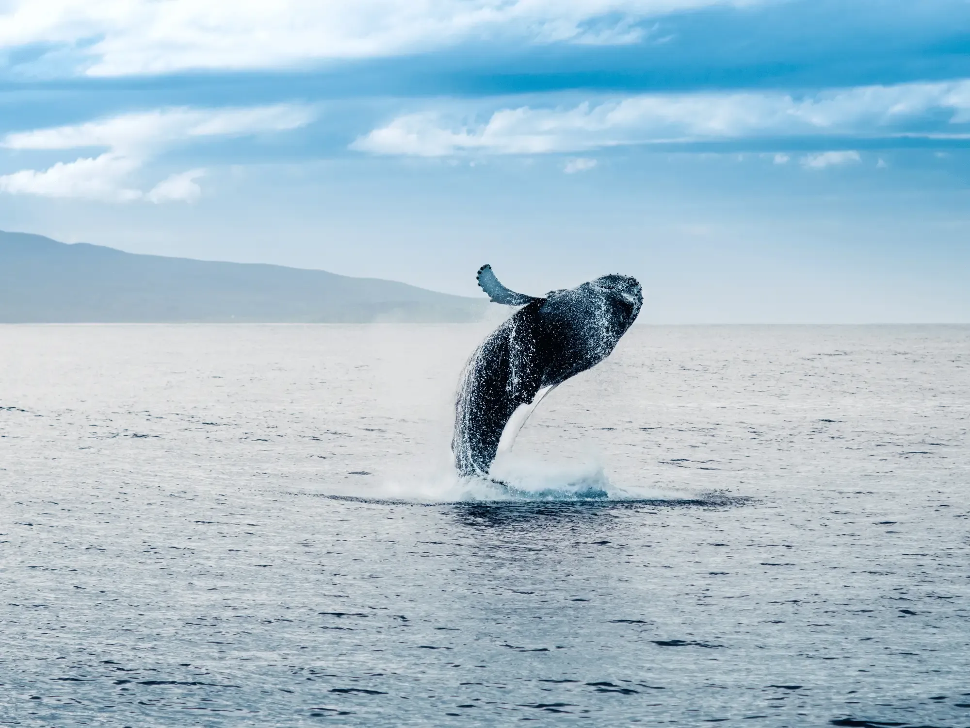 Voyager avec des enfants en Islande : meilleures activités et conseils (mise à jour 2026)