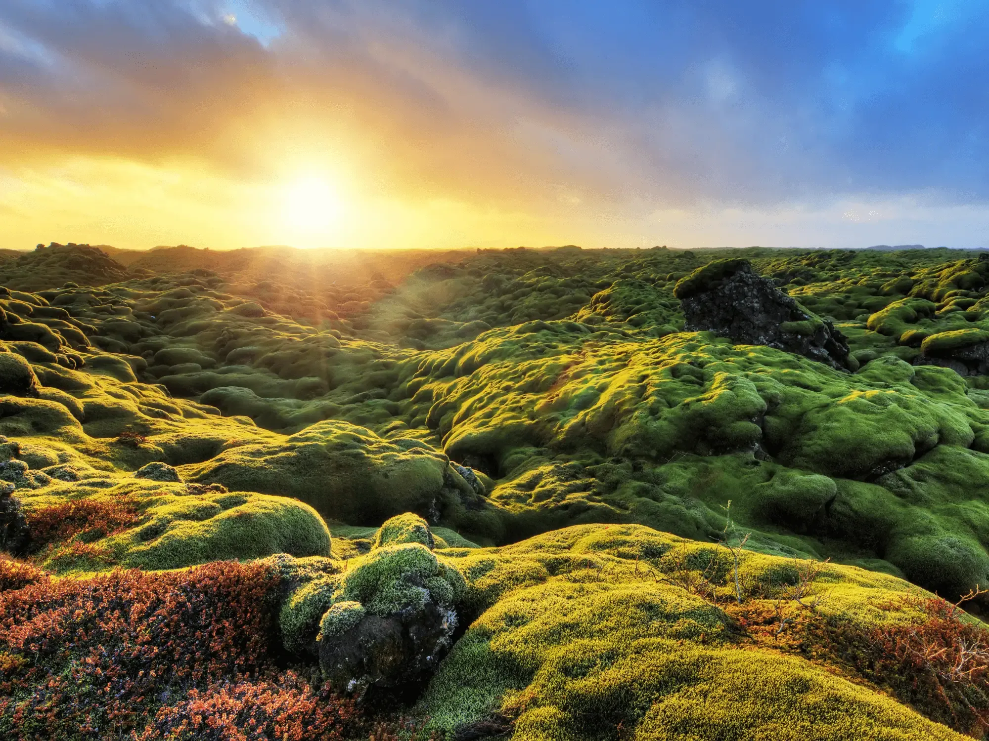 Découvrez les merveilles géothermiques de l’Islande : un voyage à travers de prodigieux joyaux naturels